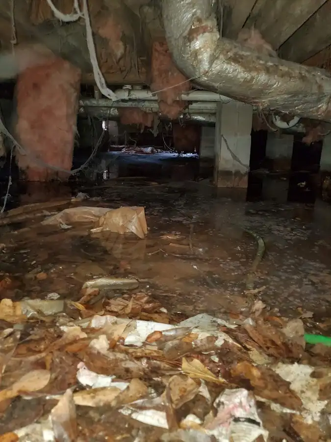 Crawl space flood assessment for Leak Detection & Repair in Cicero